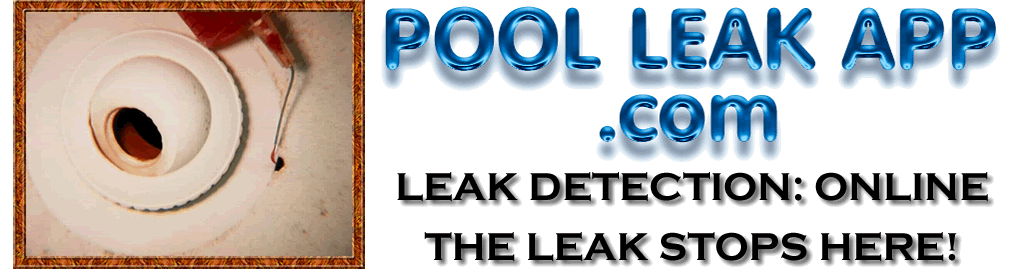Poolleakapp online